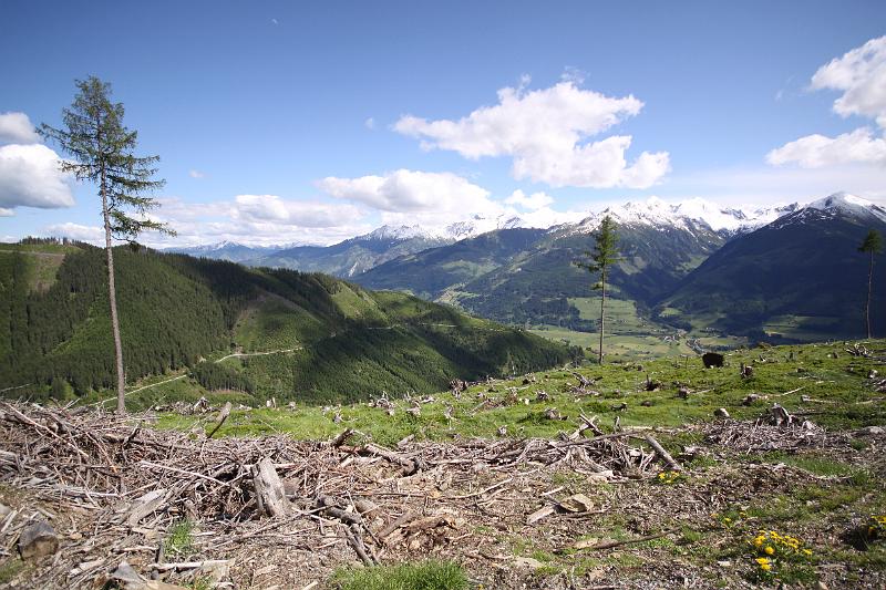 AUS31052009 (162).jpg
